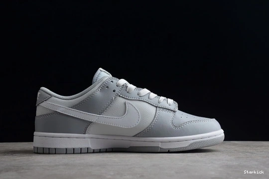 NNike Two Low DJ6188-001 Dunk Tone Grey 0319